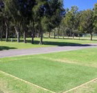 Spotted Gums on Hermitage - C Tourism