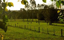 Stone Cottage Mittagong - C Tourism 0