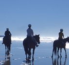 The Hayloft - C Tourism