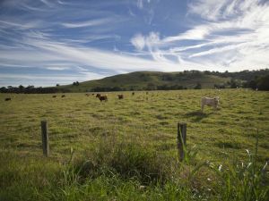 Goolmangar NSW C Tourism