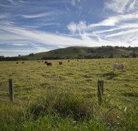 Annas Retreat - C Tourism