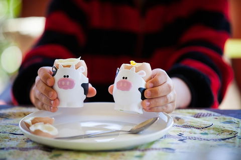 Cosy Cow Farmstay Bed And Breakfast - C Tourism 0