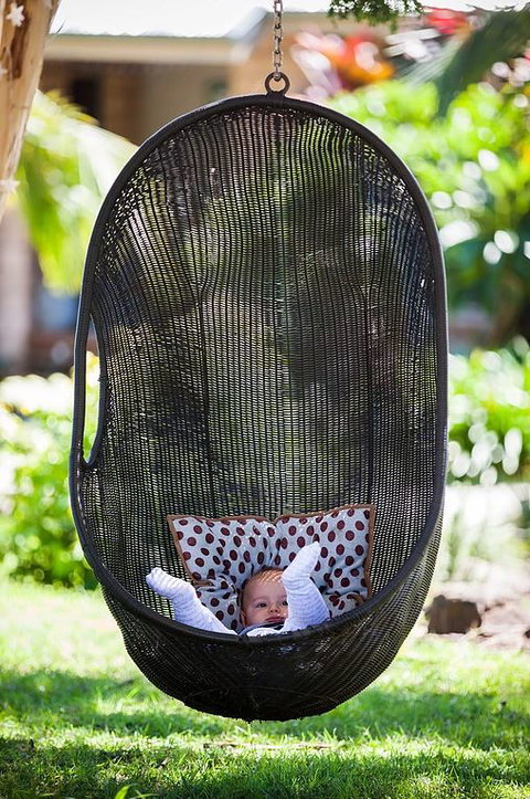 Cosy Cow Farmstay Bed And Breakfast - C Tourism 5