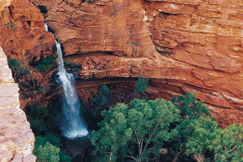 Kings Canyon Holiday Park - C Tourism 9