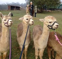 Bunyip Springs Farmstay - C Tourism