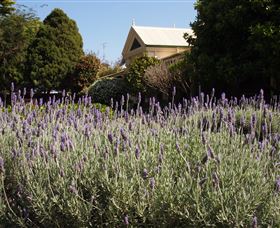 Vacy Hall Toowoomba's Grand Boutique Hotel Since 1873 - C Tourism 1