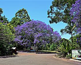 Ravensbourne Escape - C Tourism 1