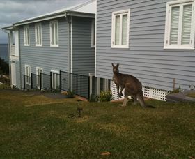 Hyams Beach Bed And Breakfast - C Tourism 6