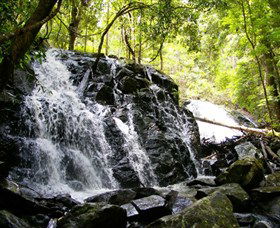 Bellthorpe Stays - Nature's Retreat - C Tourism 1