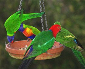 Bellthorpe Stays - Nature's Retreat - C Tourism 3