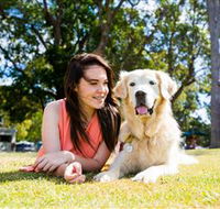 Jacobs Well Tourist Park - C Tourism