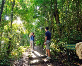 O'Reilly's Rainforest Retreat - C Tourism 2