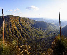 O'Reilly's Rainforest Retreat - C Tourism 3