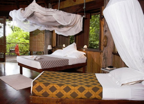 Haggerstone Island Resort - C Tourism 1