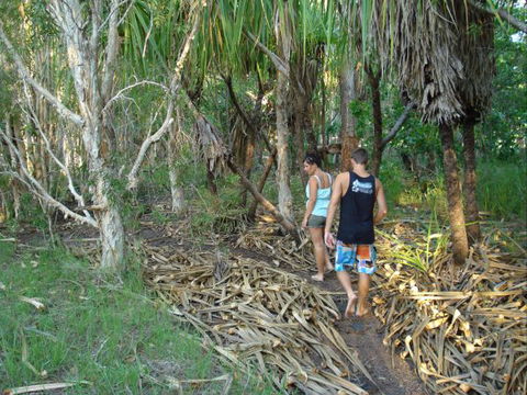 Berry Creek Bush Retreat - C Tourism 7