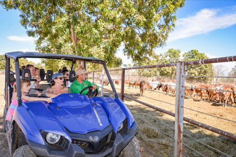 Bullo River Station - C Tourism 4