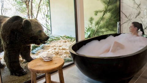 Jamala Wildlife Lodge - C Tourism 0