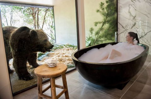 Jamala Wildlife Lodge - C Tourism 1
