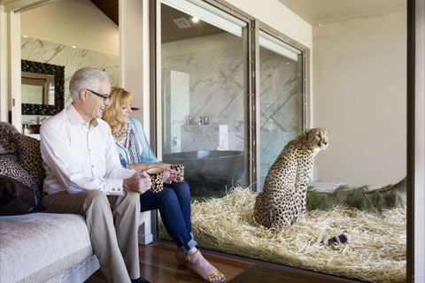 Jamala Wildlife Lodge - C Tourism 3