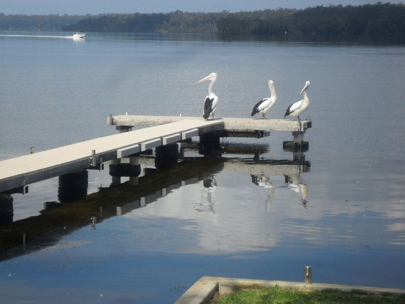 Basin View NSW C Tourism