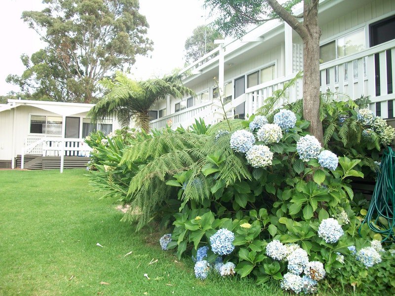Millingandi NSW C Tourism