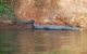 Mount Nancar Wilderness Retreat - thumb 3
