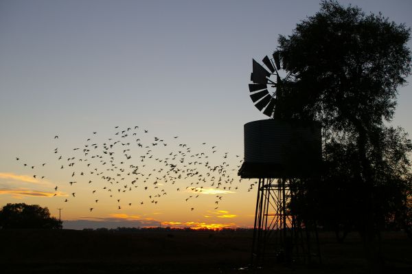 Tooraweenah NSW C Tourism