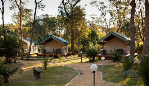 NRMA Myall Shores Holiday Park - C Tourism 0