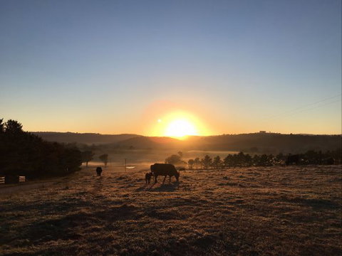 Old Bara Farmstay - C Tourism 8