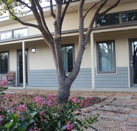 The Grape and Olive in Willunga - C Tourism