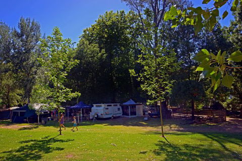 Ardern's Caravan Park, Myrtleford - C Tourism 0