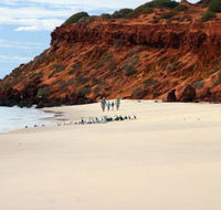 Herald Bight Camp at Francois Peron National Park - C Tourism