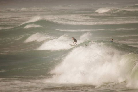 Norfolks - C Tourism 6