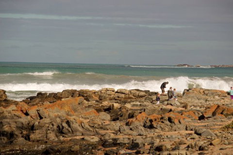 Norfolks - C Tourism 7