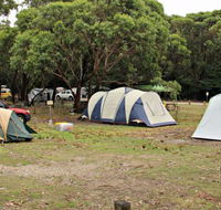 Pretty Beach Campground Murramarang National Park - C Tourism