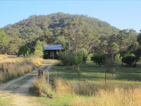 Peach Tree Cabin - C Tourism 1