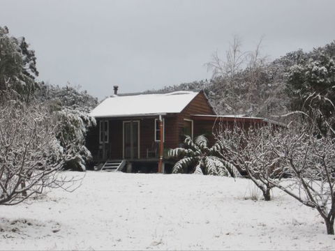 Peach Tree Cabin - C Tourism 9