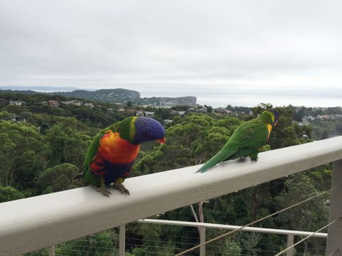 Avalon Horizons - C Tourism 8