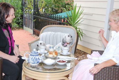 Must Love Dogs B&B And Self-Contained Cottage - C Tourism 2