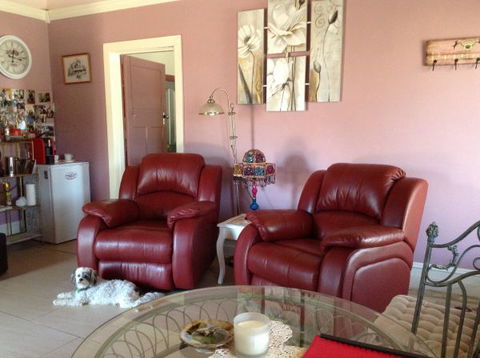 Must Love Dogs B&B And Self-Contained Cottage - C Tourism 7