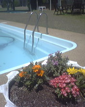 Gunning Motel - C Tourism 2