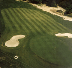 Emerald Golf And Country Resort - C Tourism 1