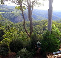 Mt Tamborine Motel - C Tourism