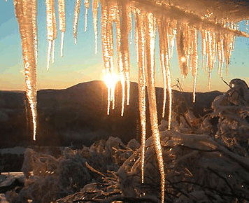 Burnt Hut - C Tourism