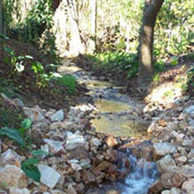 Pettswood Lodge - C Tourism 3