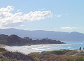 Bicheno On The Beach - C Tourism 5