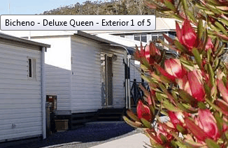Bicheno Cabins And Tourist Park - C Tourism 2
