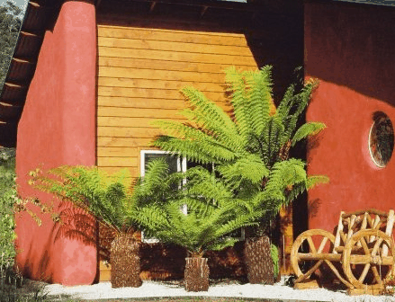 Franklin TAS C Tourism