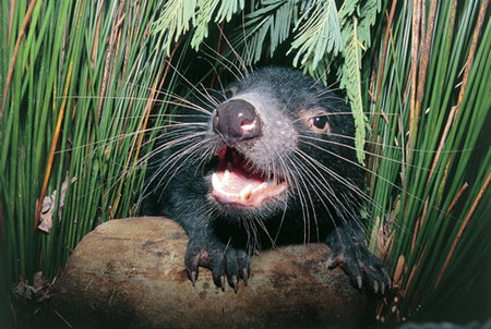 Woodbridge On The Derwent - C Tourism 2