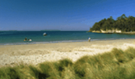 Recreation Cottage - C Tourism 2